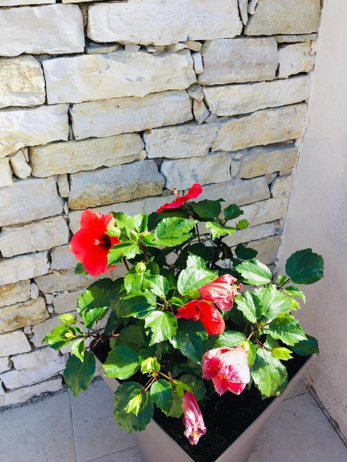 La Villa Mediterranee Wellness Spa Piscine Saint-Drezery Eksteriør bilde